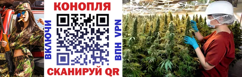 нарко площадка состав  Шуя  Марихуана ГИДРОПОН  где продают  